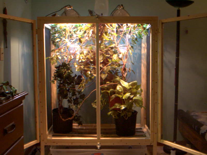 Panther Cage