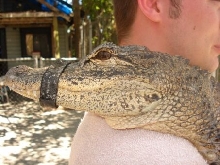 LeRoy
