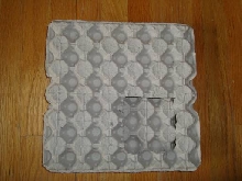 roachflat2