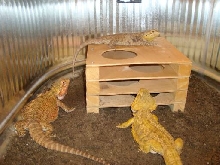 soiltank1