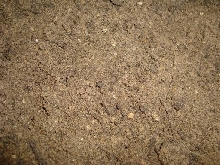 soiltank5