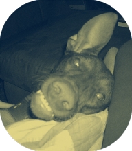 His Cute Smile
