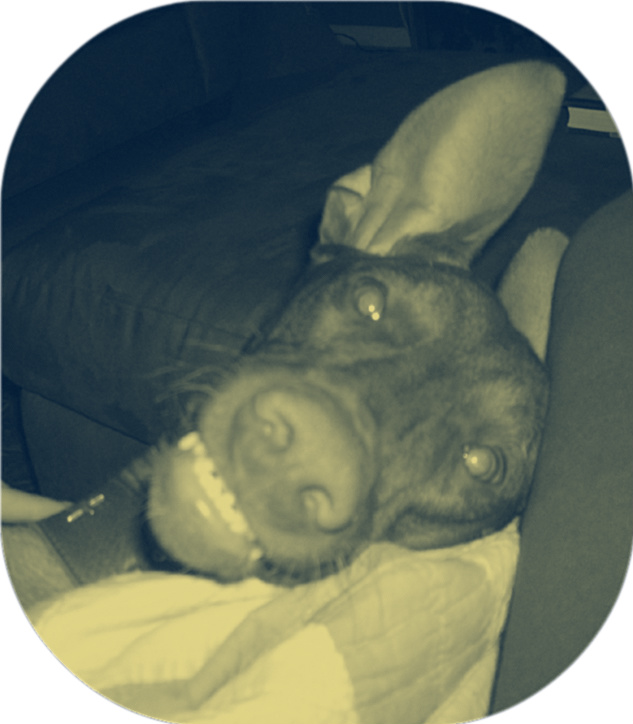His Cute Smile