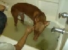Bath time!