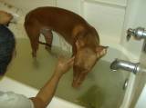 Bath time!
