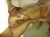 Bath time!