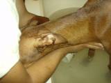 Bath time!