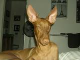 Whaddup!