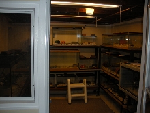 Reptile room inside