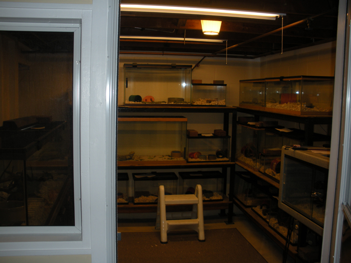 Reptile room inside