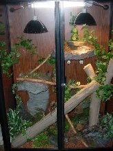 My Cage