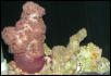 Saltwater Photos