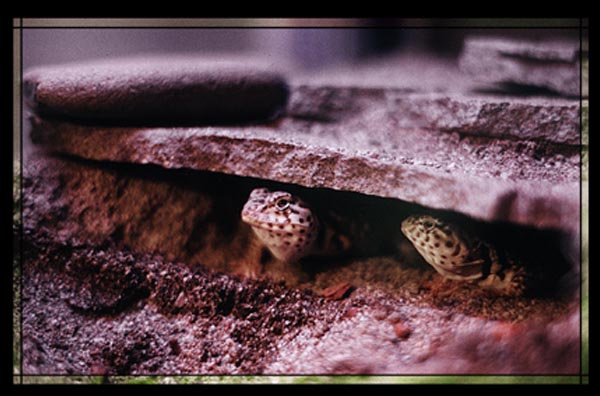 Is it safe to come out yet?...