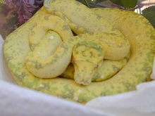 Chondro