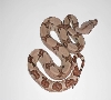 hypo het snow triple het