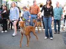 Barkus 2009