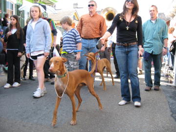Barkus 2009