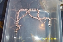 ghost I & II