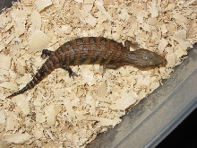 2011 northern2