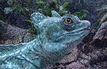 Basilisk