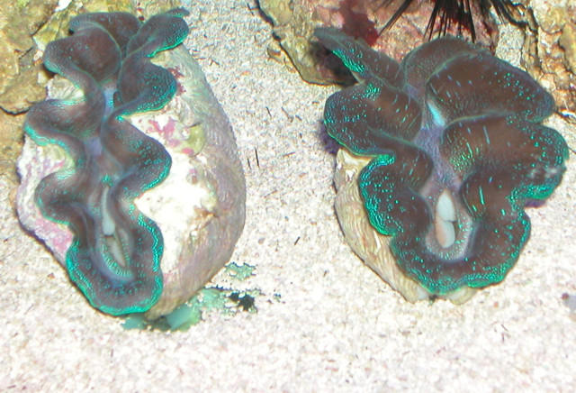 Saltwater Photos
