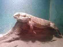 Hanging out