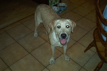Abby