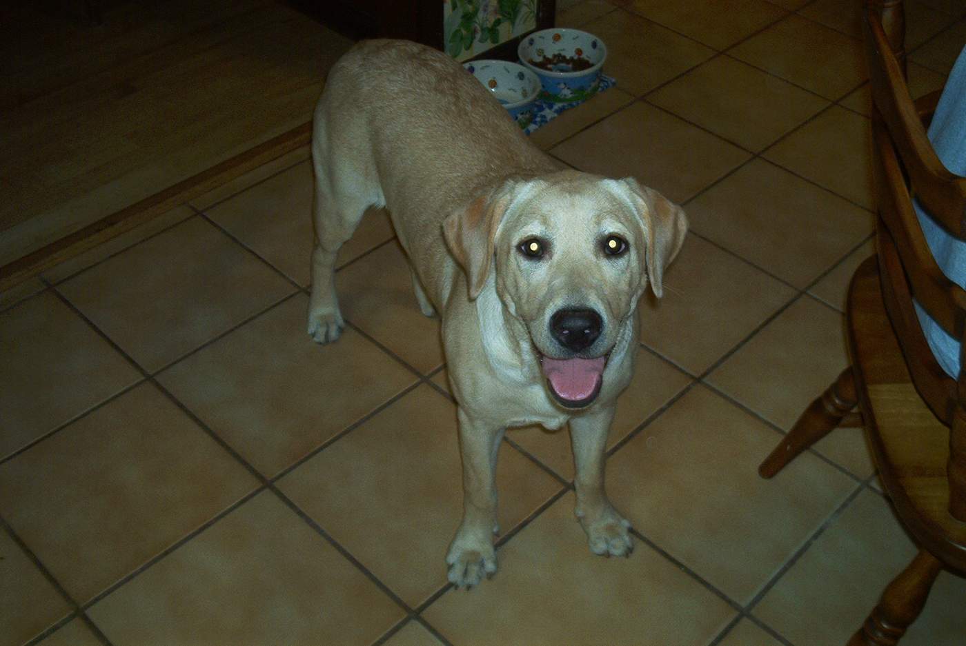 Abby