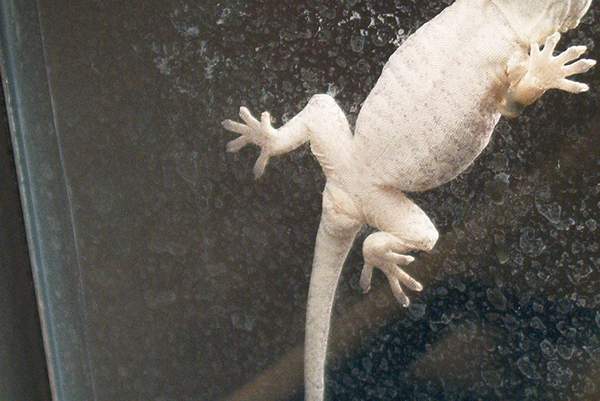 Male or Female....