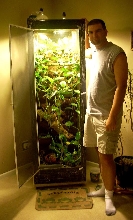 Amazon Tree Boa Enclosure