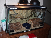 Tank 2