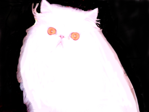 Buzzy, the friendly ghost, materializes