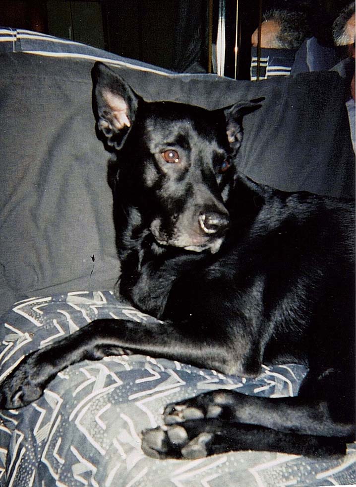 MY BEST FRIEND