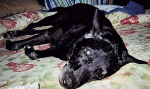 MY LAST PICTURE OF PRINCE