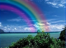 PRINCE'S RAINBOW