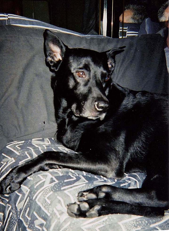 MY PRINCE