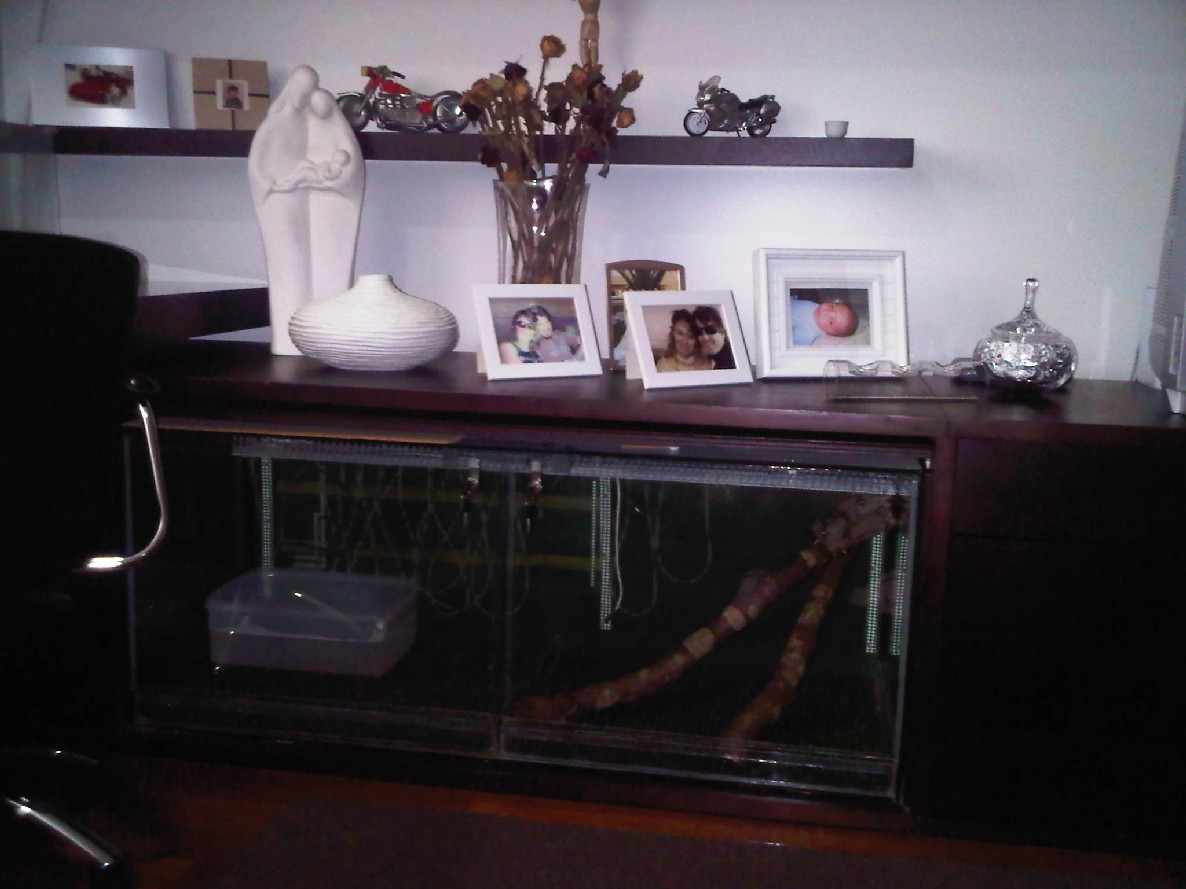 Home Office