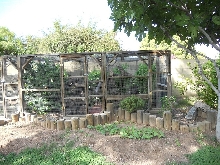 cages