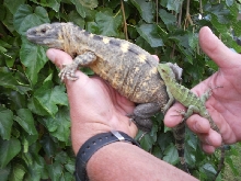 female & baby