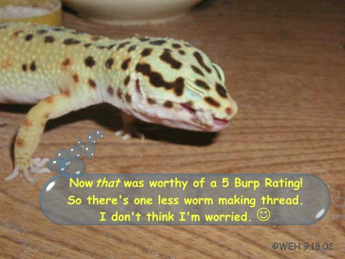 Leo vs Silkworm -Chapter 4