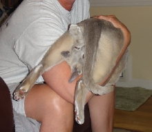 Yep, this is comfy!