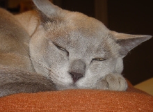 Don't make me open my eyes. =|