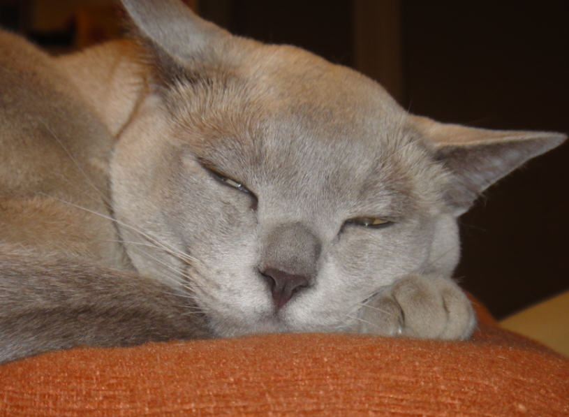 Don't make me open my eyes. =|