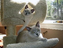 Just chillin'!
