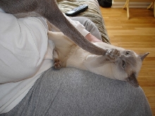 I got TAIL!