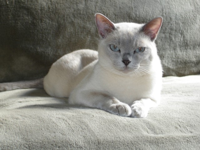 Tey'a's typical 'tude.