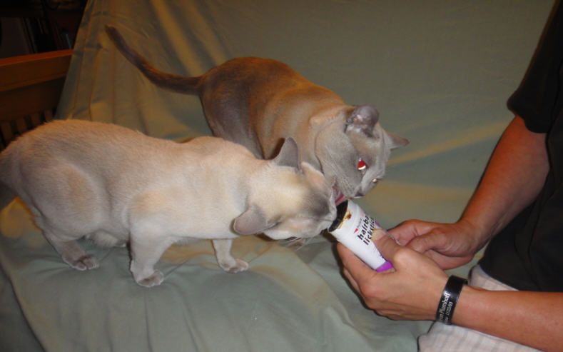Lickstick.
