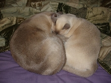 Snuggletime!