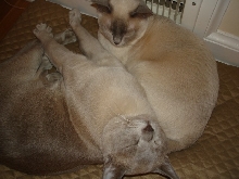 Streeeeeeetch!