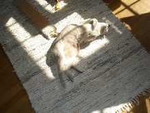 Love my SUN!